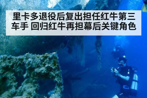 里卡多退役后复出担任红牛第三车手 回归红牛再担幕后关键角色
