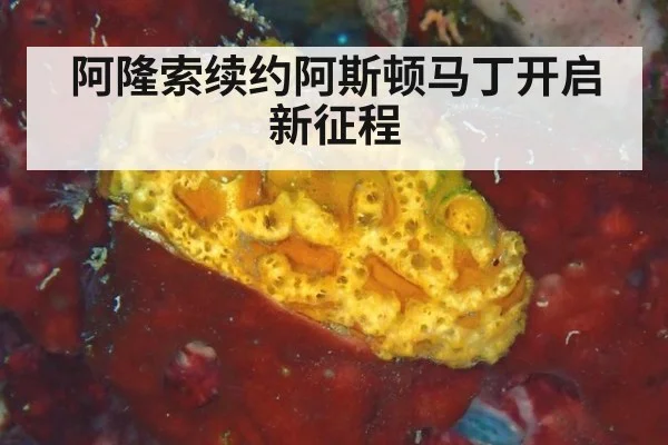 阿隆索续约阿斯顿马丁开启新征程